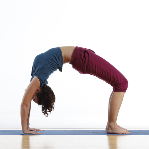 Yogafoto Yogini in Urdhva Dhanurasana